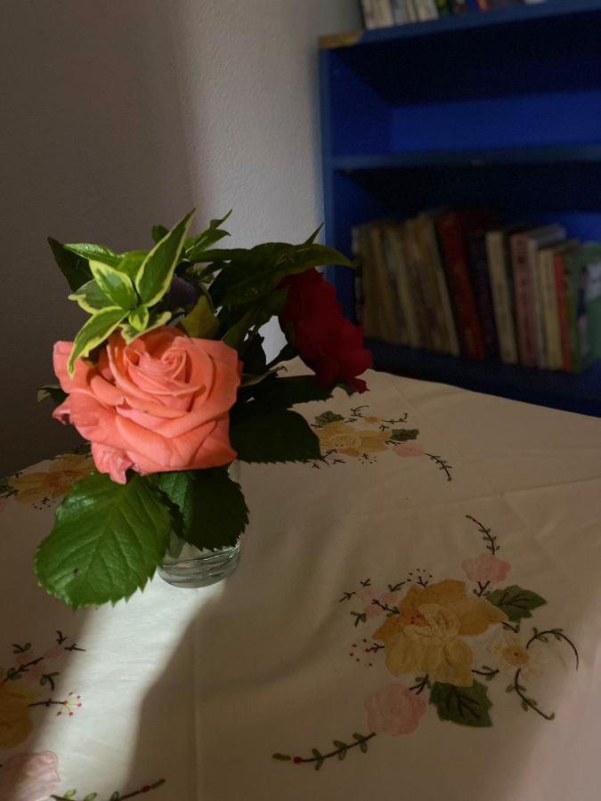 Gather Inn Guest House Shkodër Extérieur photo